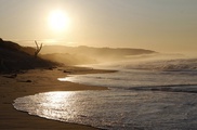 Pacific man bids to become first climate change refugee