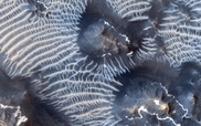 NASA to probe why Mars lost its atmosphere