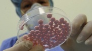 Health Ministry bans drugs made by Kazakhstan-based Eleas