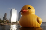 Giant yellow duck victim of Taiwan quake