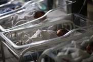 Baby born to brain dead mother in Hungary