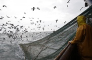 Aqua-Spark fund dives into fish farming future