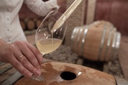 New Zealand looks to uncork 'lifestyle' wine niche