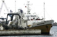 China to recover ancient shipwreck's treasures: reports