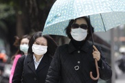 China confirms human death from new bird flu type