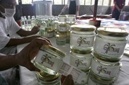 Haiyan to hit Philippine coconut oil exports: industry official