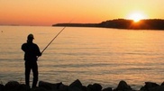 Fish dives in East Kazakhstan Oblast: Prosecutor's Office