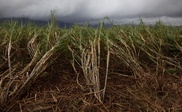 Strong cyclone hits western Australia