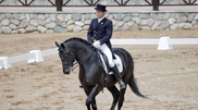 German businessmen offer 350 thousand Euro for horse from Kazakhstan