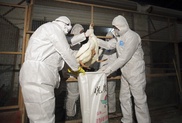 China reports first H7N9 bird flu death this year