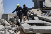 Shallow quake rocks Los Angeles