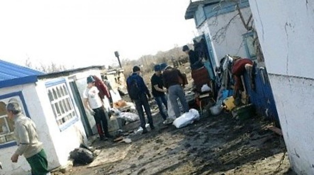 More volunteers arrive to Kokpekti