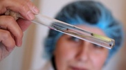 30 Almaty residents bitten by ticks