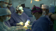 Success story: liver transplantation in Almaty