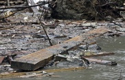 Four killed in landslide in northern Afghanistan: officials