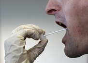 Mass DNA tests at French school to find rapist