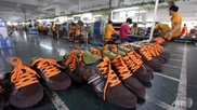 Thousands of workers strike at China shoe factory