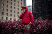 Canadians rally to legalize marijuana