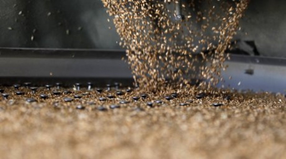 Kazakhstan’s revenues for grain exports in 2013 exceed $1 billion