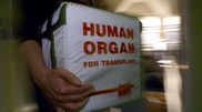 Kazakh legislation to make cadaveric donors lists classified