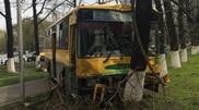 Brakes fail, bus crashes into tree in Almaty