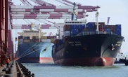 Cargo ship sinks, 11 missing near Hong Kong: officials