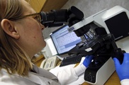 13 new MERS deaths in Saudi Arabia