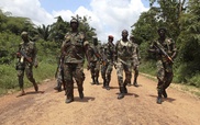 Attack on Ivorian village kills 13: minister
