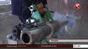 Atyrau besieged by mosquitoes