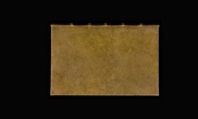Harvard confirms antique book is bound in human skin