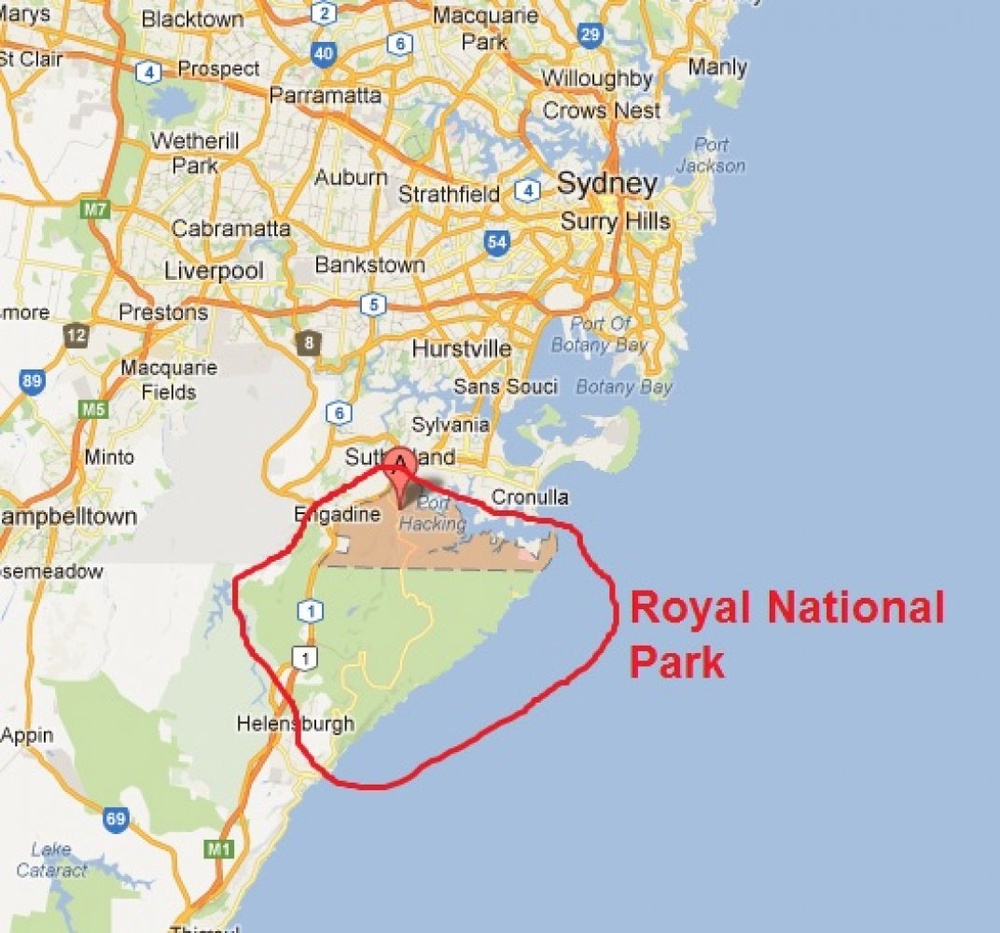 French student dies in Australia cliff fall