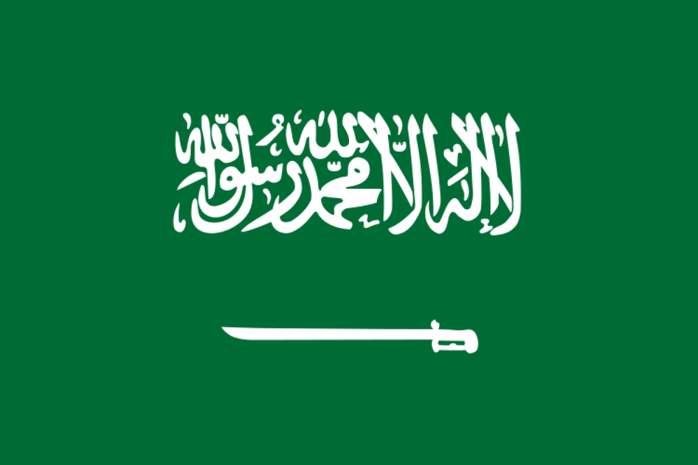 Saudi jails Shiites over flag insult
