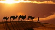 8 Silk Road monuments in Kazakhstan added to UNESCO World Heritage List