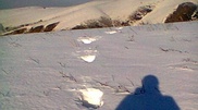Kuzbass Yeti moves to Kazakhstan