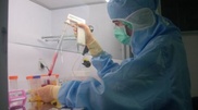 Scientists to start tissue engineering in Kazakhstan