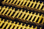 Academy kills Oscars nomination over email gaffe