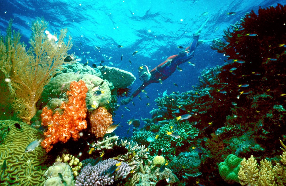Australia approves plan to dump dredge spoil in Barrier Reef