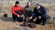 Artefacts of 18 century war discovered in South Kazakhstan