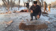 Southern Kazakhstan flooded, 3 herds of horses dead