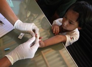 Malaria: High risk focused in 10 African countries