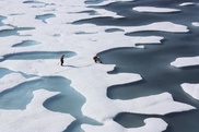 US, British science academies: Climate change is real