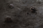 Sri Lanka family finds mass grave in garden