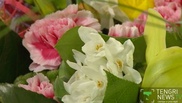Flowers for spring celebrations