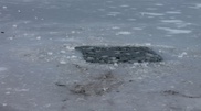Two school kids rescued after falling through ice in Astana