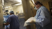 Deceased organ donation: integrated database for Kazakhstan