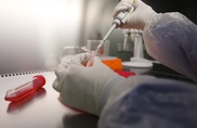 Saudi MERS death toll rises to 63
