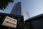 Web domain name revolution could hit trademark defence: UN