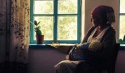 Satirical Walnut-tree: Nurmukhambetov's film premiers at Busan International Film Festival