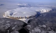 Climate change 'forcing species to move'