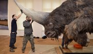 Humans, 'unicorns' may have walked Earth at same time